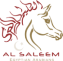 Al Saleem Egyptian Arabians
